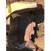 2012 John Deere 753J Track Feller Buncher